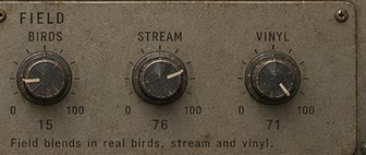SILT FIELD section: BIRDS, STREAM and VINYL